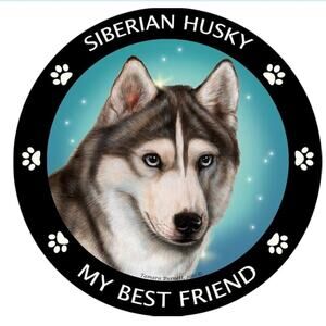 Siberian Husky My Best Friend Magnet
